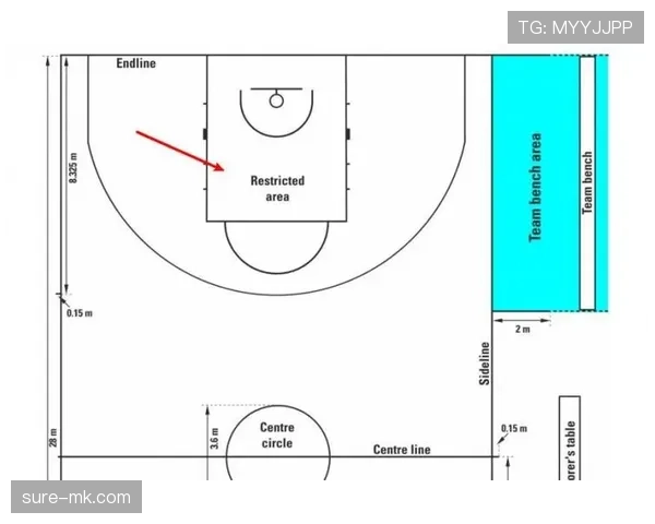 NBA与FIBA罚球规则有何不同？对比解析两大联赛判罚标准