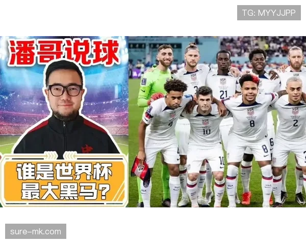 世界杯D组黑马球队全景分析 世界杯D组黑马球队全景分析